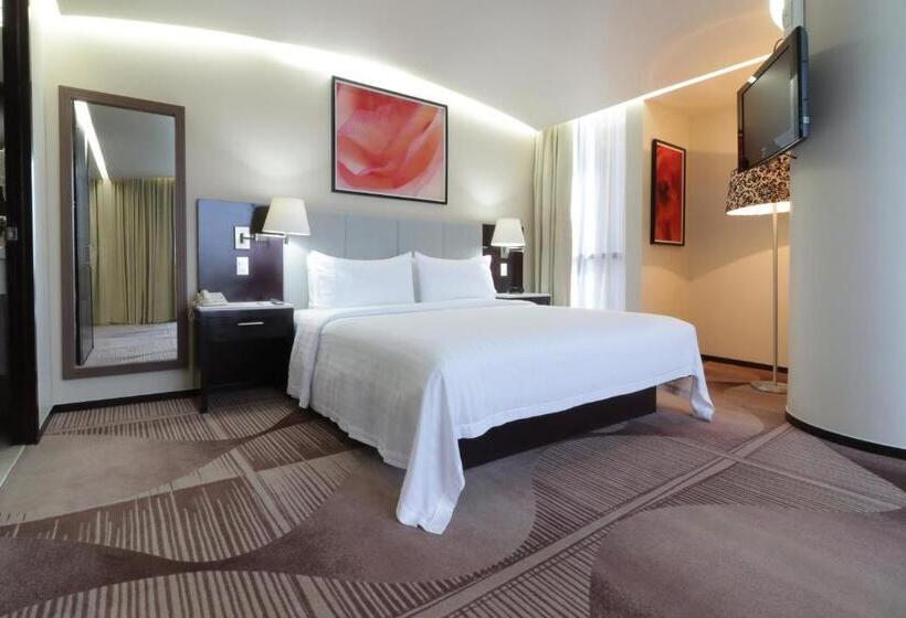 Holiday Inn Hotel & Suites Medica Sur By Ihg
