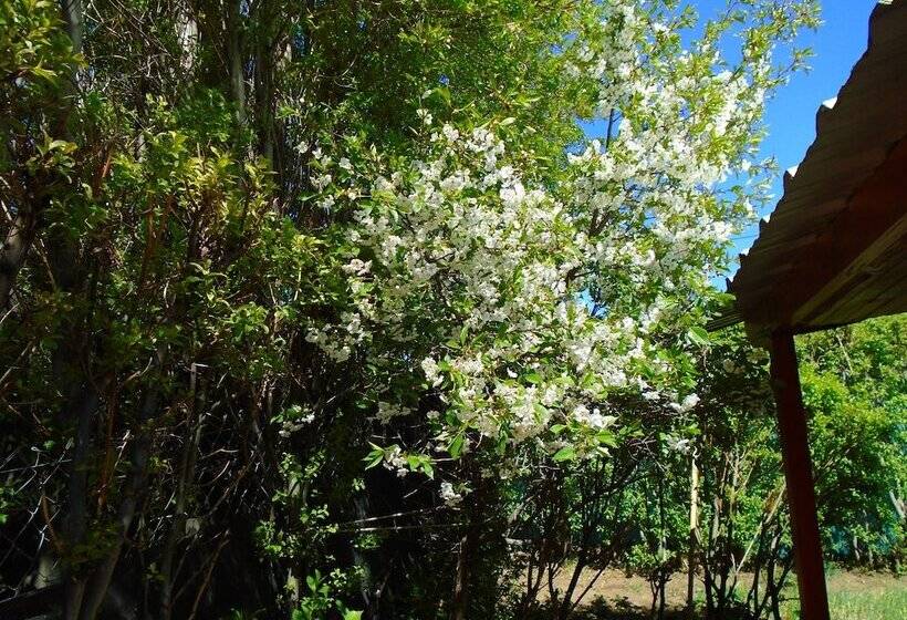 Fotos del hotel Los Fresnos:  5