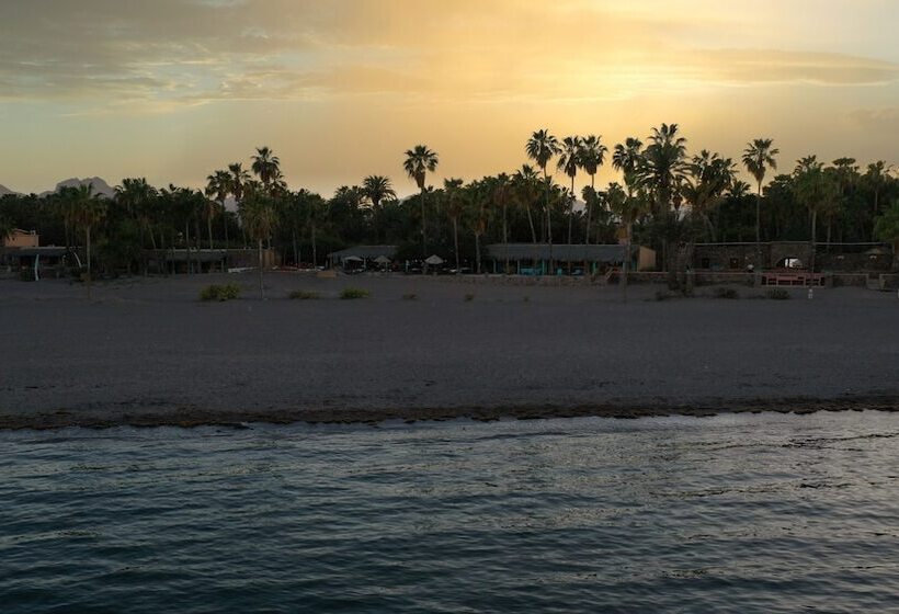 هتل Oasis