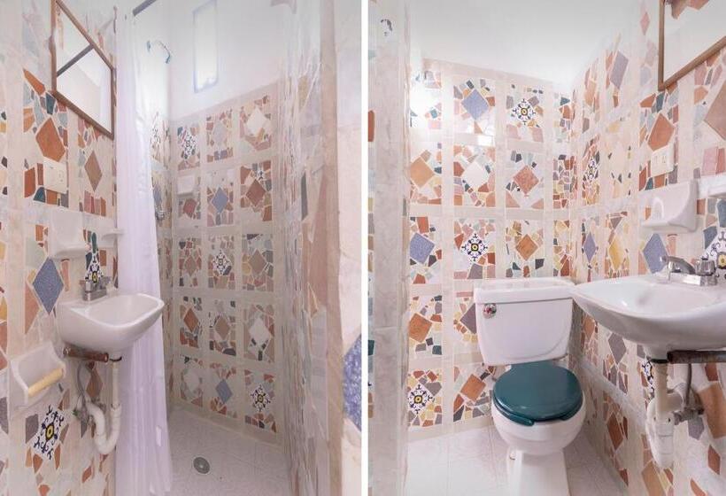 Fotos del hotel Hotel Paraje Coyopolan:  15