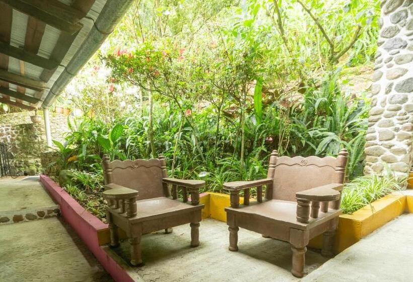 Fotos del hotel Hotel Paraje Coyopolan:  18