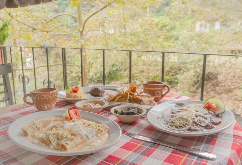 Fotos del hotel Hotel Paraje Coyopolan:  2
