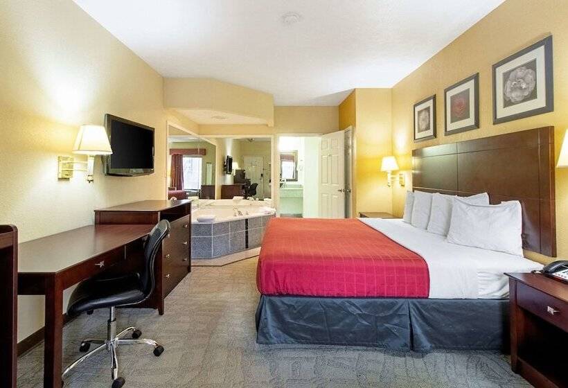 酒店 Quality Inn & Suites