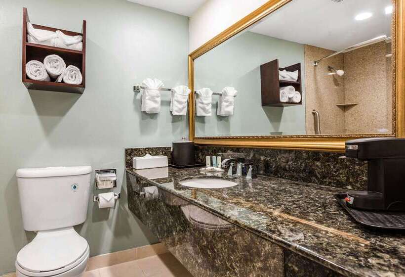 هتل Comfort Inn & Suites Irvine Spectrum