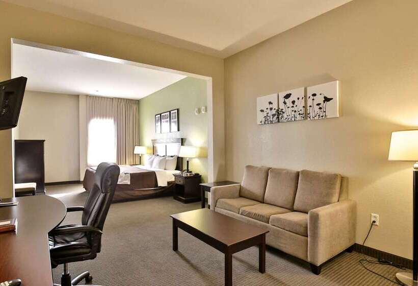 בית מלון כפרי Sleep Inn & Suites University