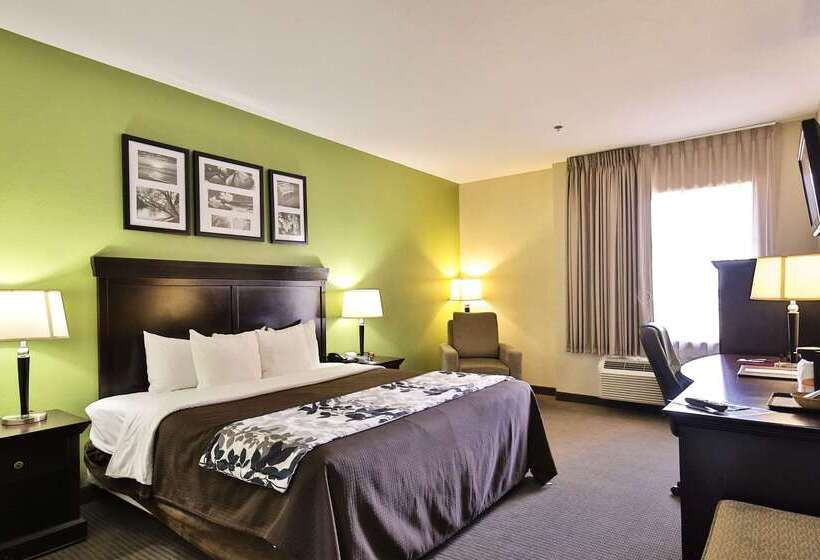 בית מלון כפרי Sleep Inn & Suites University
