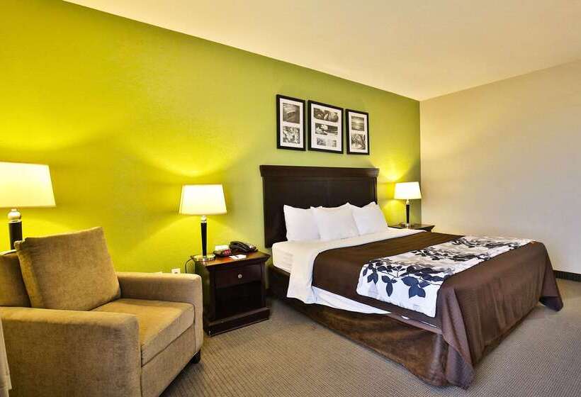 בית מלון כפרי Sleep Inn & Suites University
