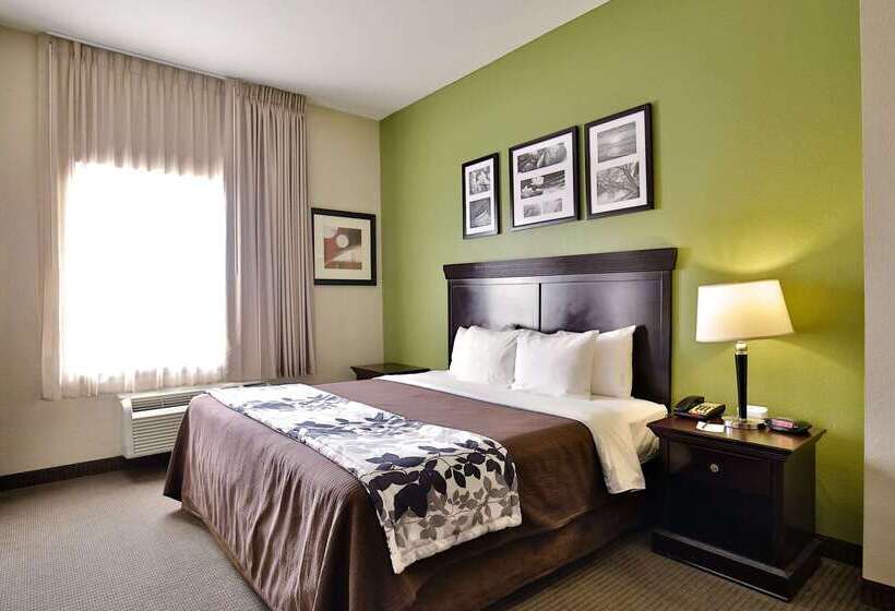 בית מלון כפרי Sleep Inn & Suites University