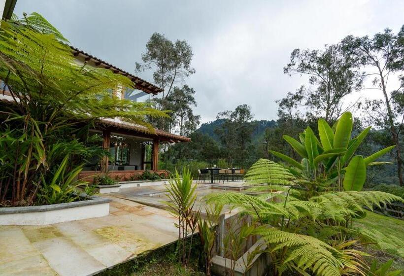Fotos del hotel Termales El Otoño:  14