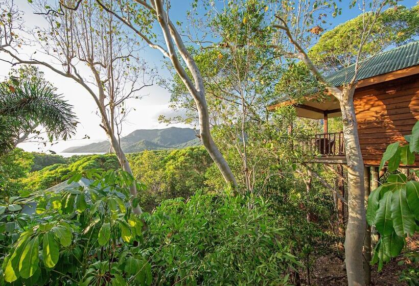 Fotos del hotel Thala Beach Nature Reserve:  2
