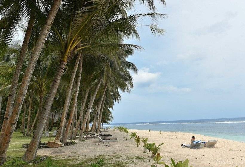 فندق Pacifico Bigwish Beach Resort