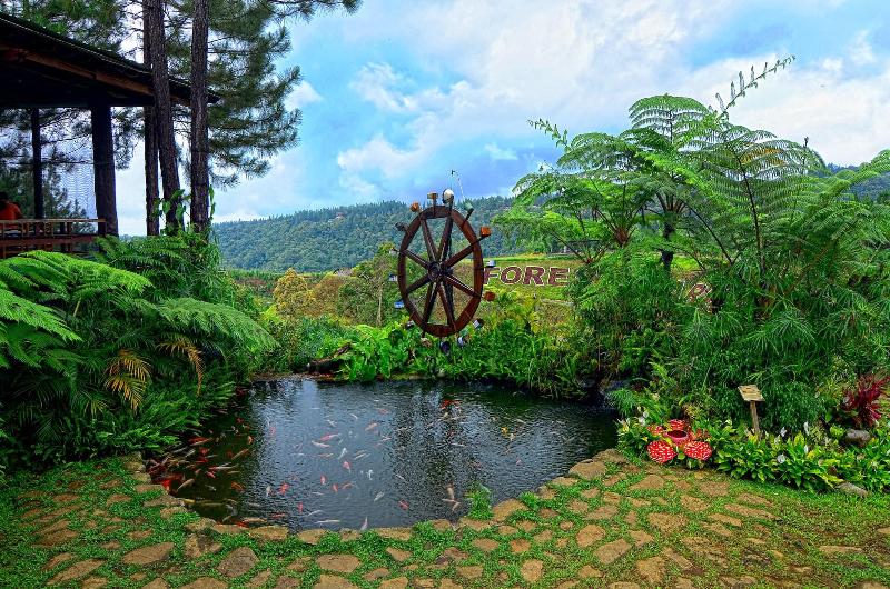 فندق Dahilayan Forest Park Resort