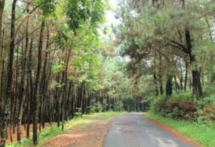 هتل Pondok Lariska