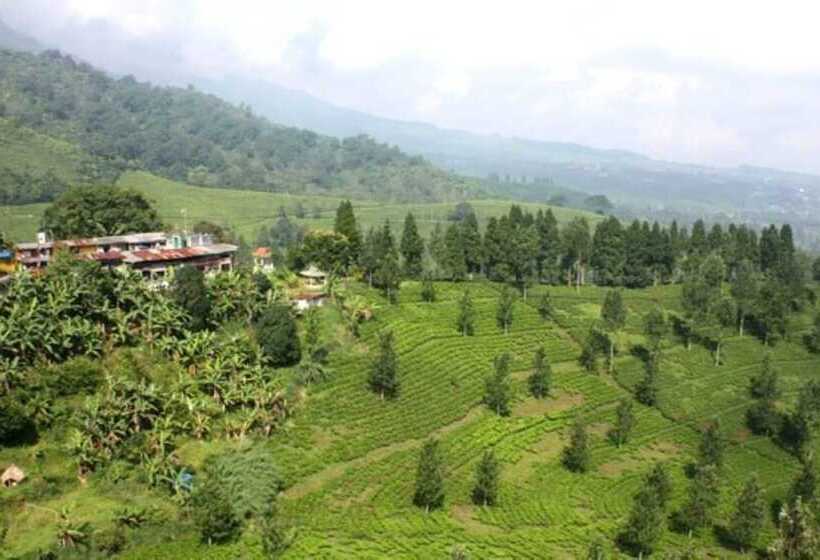 هتل Pondok Lariska