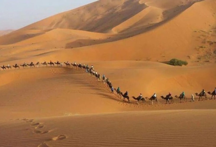 پانسیون Camp Sahara Dunes