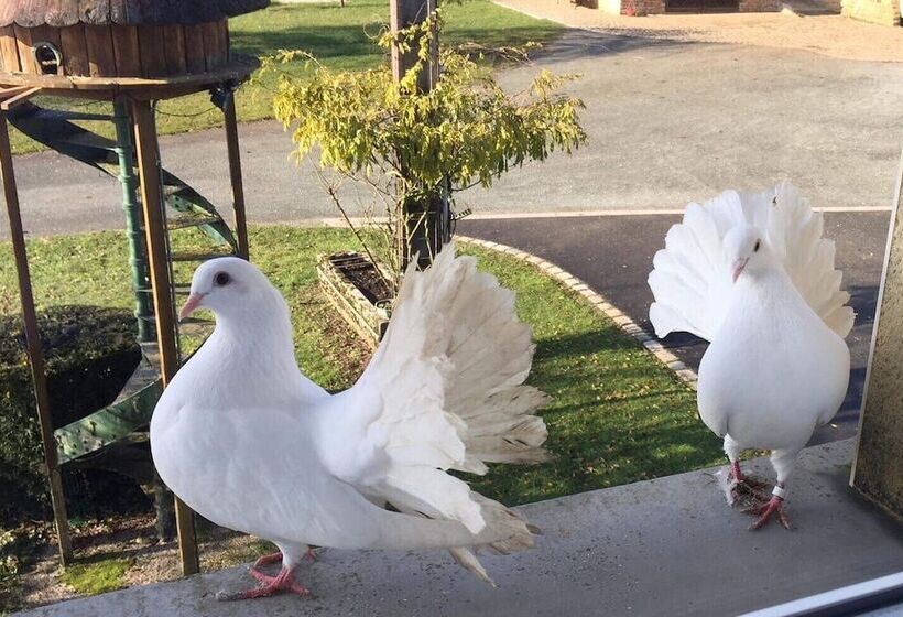 فندق Au Domaine Du Cerf