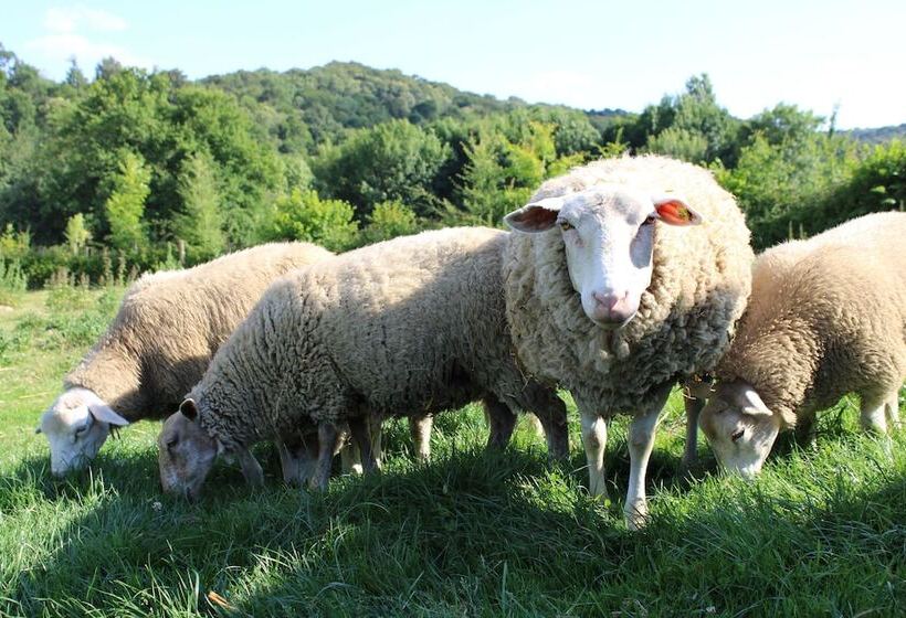 فندق Ecogîte Rural La Clé Des Champs