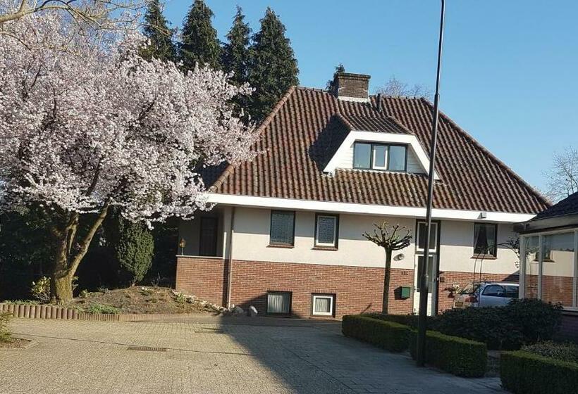 B&b De Loenense Bossen