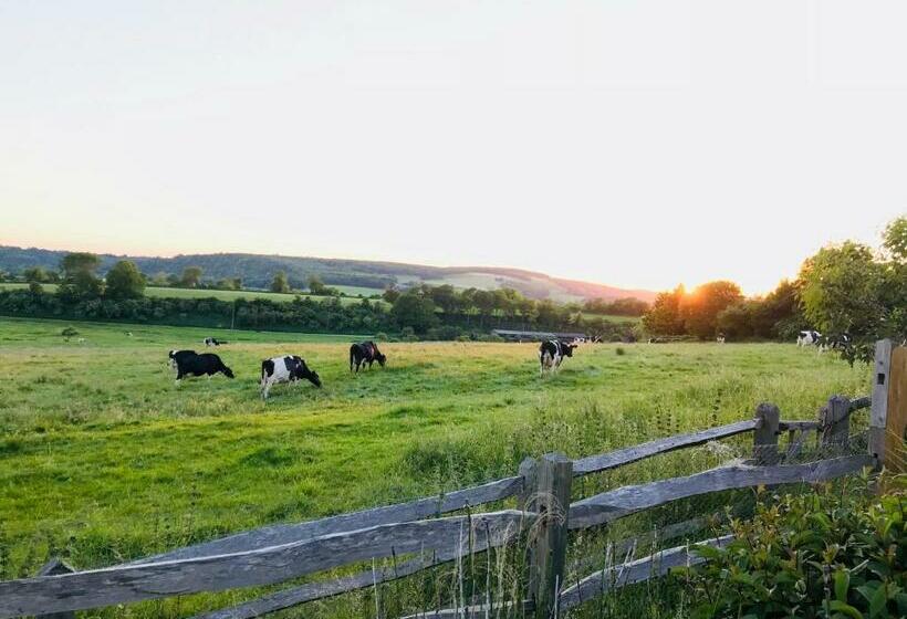 Bed and Breakfast The Cow Hide