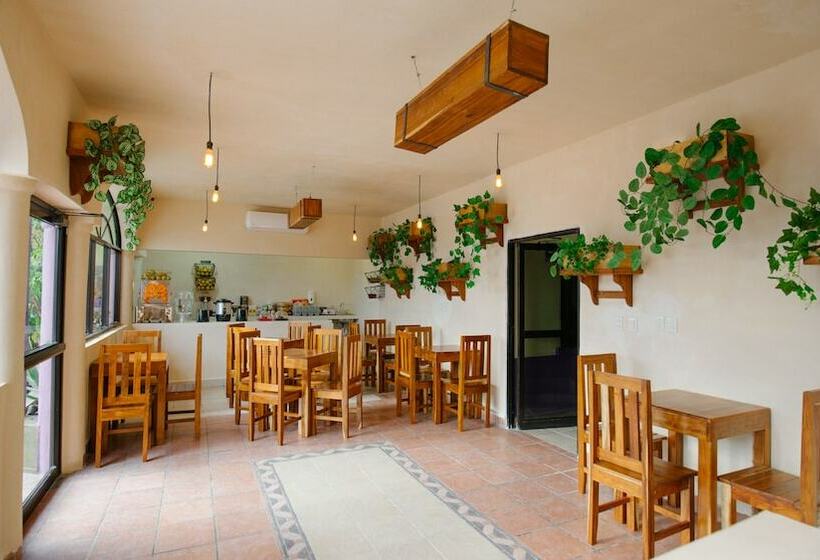 هتل Casa Anaya   Hostel