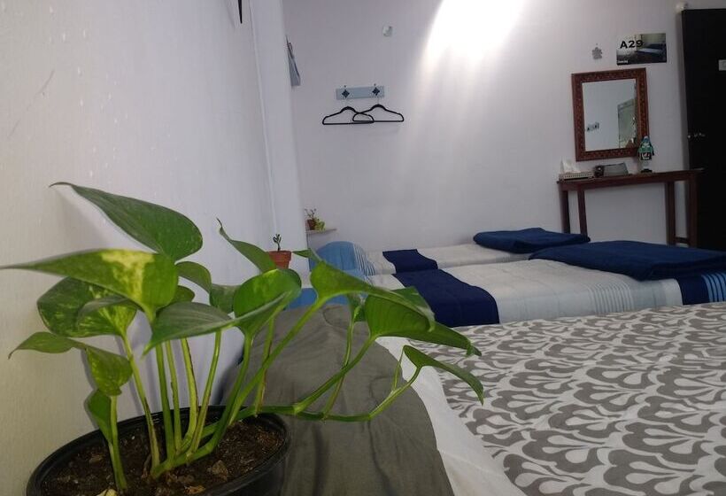 هتل Casa A29