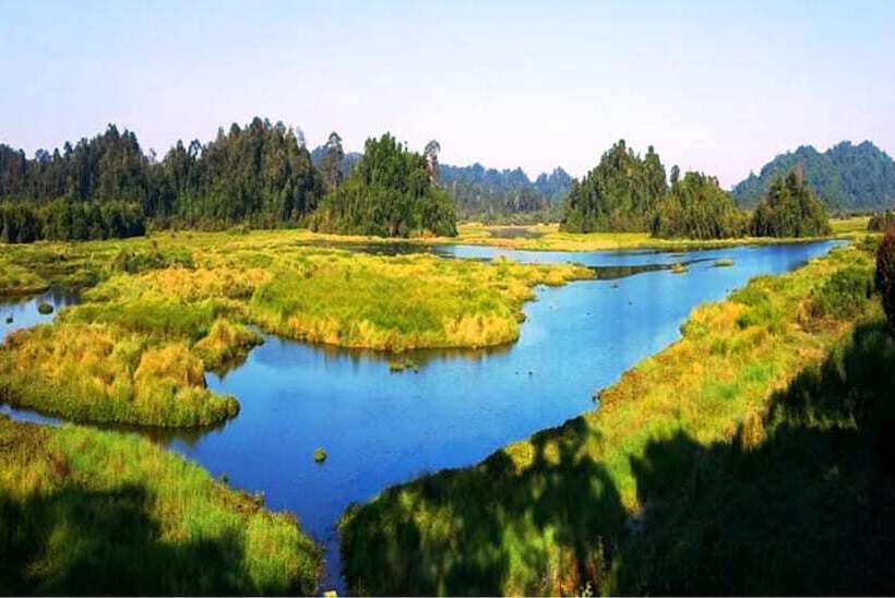 Fotos del hotel Cat Tien Jungle Lodge:  6