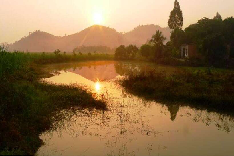 Fotos del hotel Cat Tien Jungle Lodge:  8