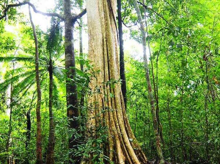 Fotos del hotel Cat Tien Jungle Lodge:  52