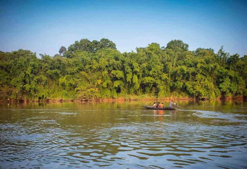 Fotos del hotel Cat Tien Jungle Lodge:  48