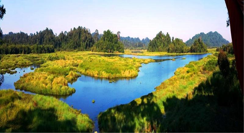 Fotos del hotel Cat Tien Jungle Lodge:  70