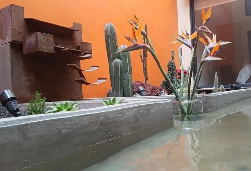 هتل Coyoacaninn Guesthouse