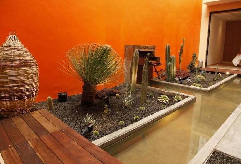 هتل Coyoacaninn Guesthouse