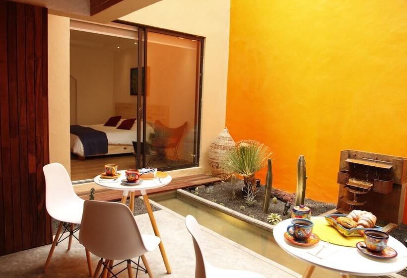 هتل Coyoacaninn Guesthouse