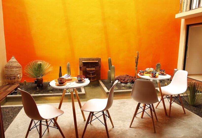 هتل Coyoacaninn Guesthouse