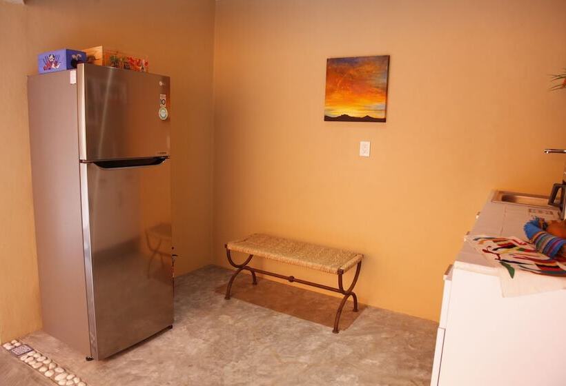 هتل Coyoacaninn Guesthouse