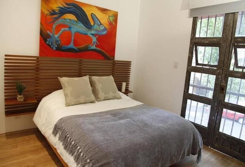 هتل Coyoacaninn Guesthouse