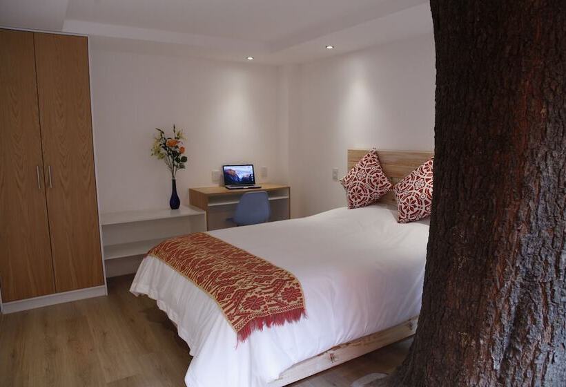 هتل Coyoacaninn Guesthouse