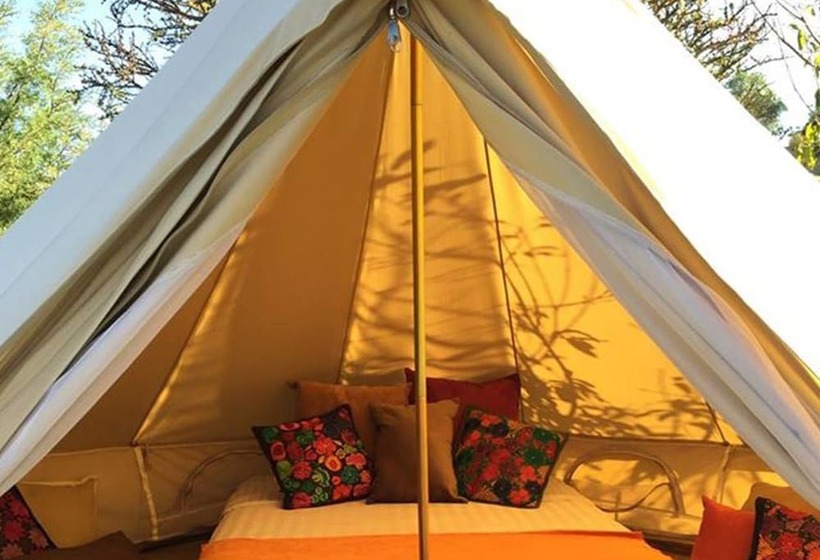 فندق Echological   Glamping