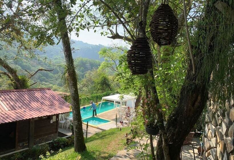 هتل Quinta Los Cedros