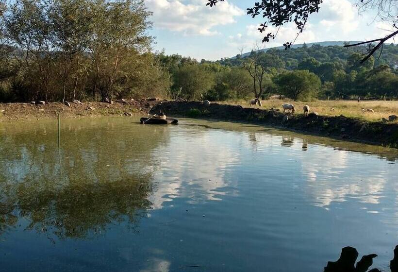 فندق Rancho Los Alamos