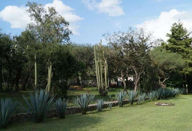 فندق Rancho Los Alamos