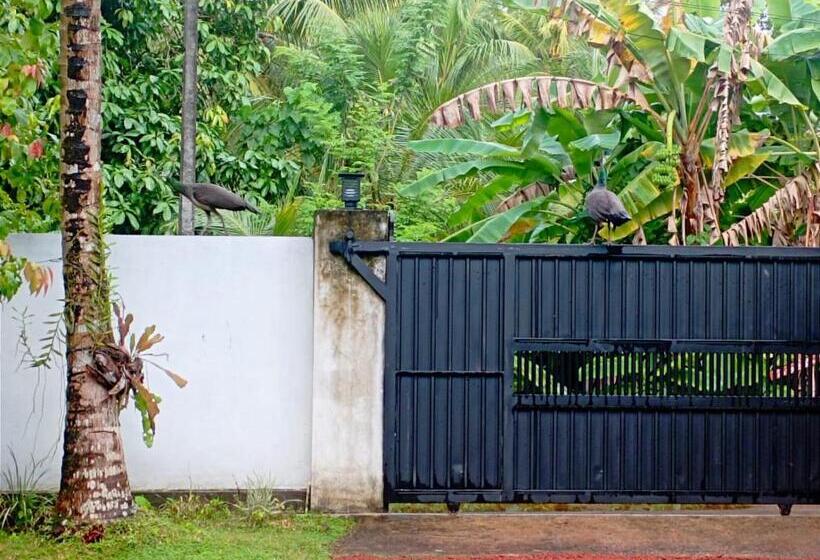 پانسیون Olee Villa