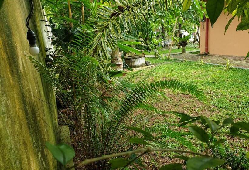 پانسیون Olee Villa