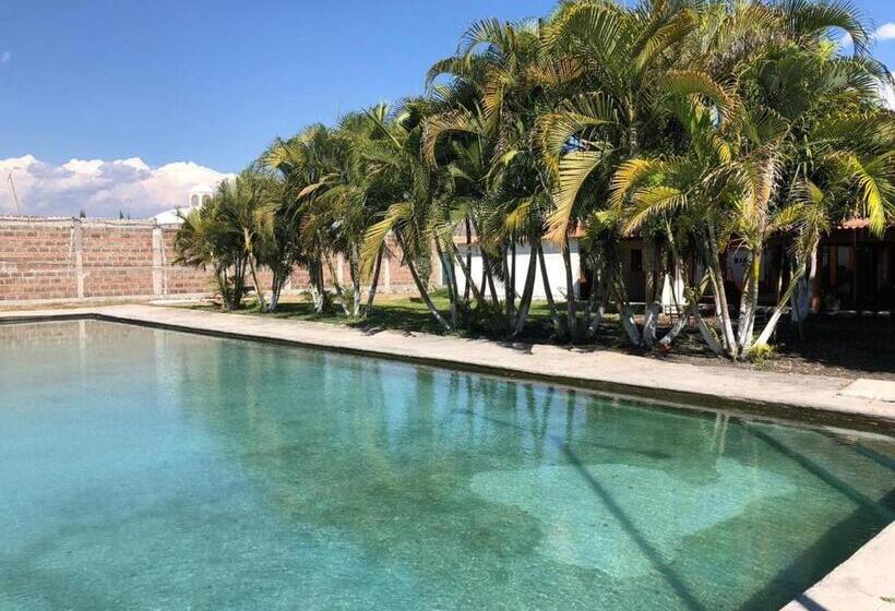 بنسيون Room In Guest Room   Lodging And Tranquility