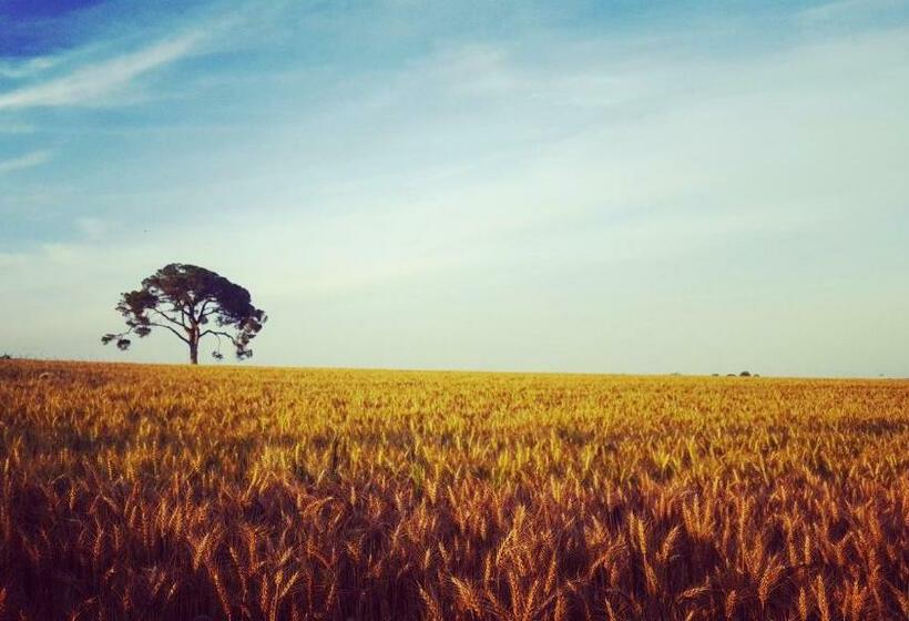 تختخواب و صبحانه Pie Castello