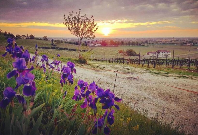 تختخواب و صبحانه Pie Castello