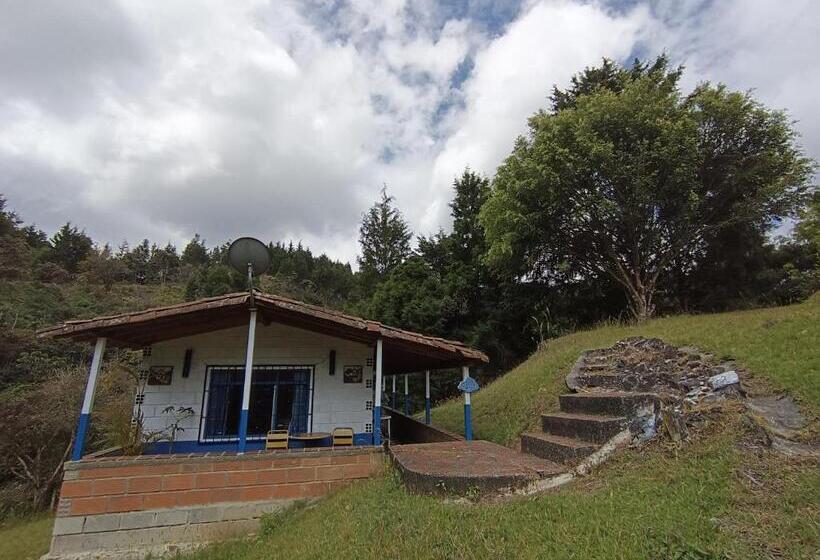 Biohotel Ecohouse