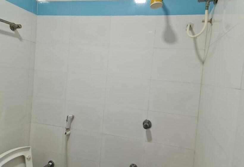 Отель Vijay Shree Inn