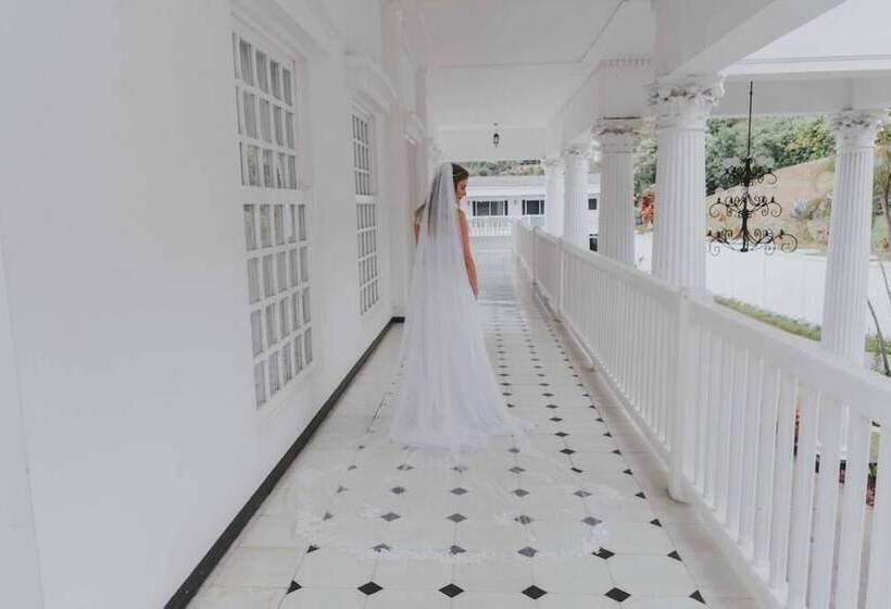 فندق Fogo Resort