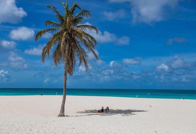 Ocean View Condo Overlooking The Caribbean Sea